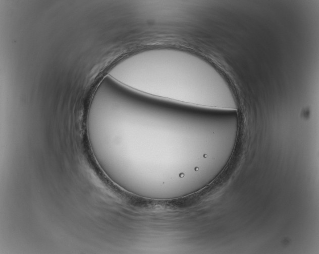 X0000116290585200912211842