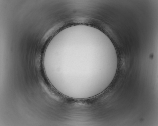 X0000116290586200912211842