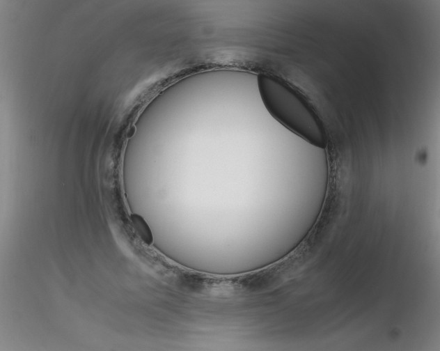 X0000116290587200912211842