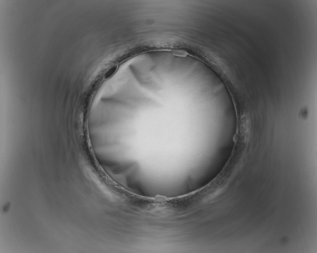 X0000116290589200912211842