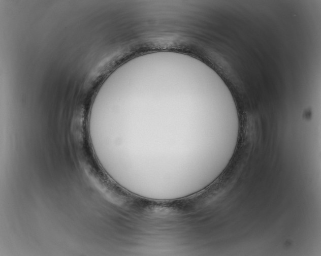 X0000116290590200912211842