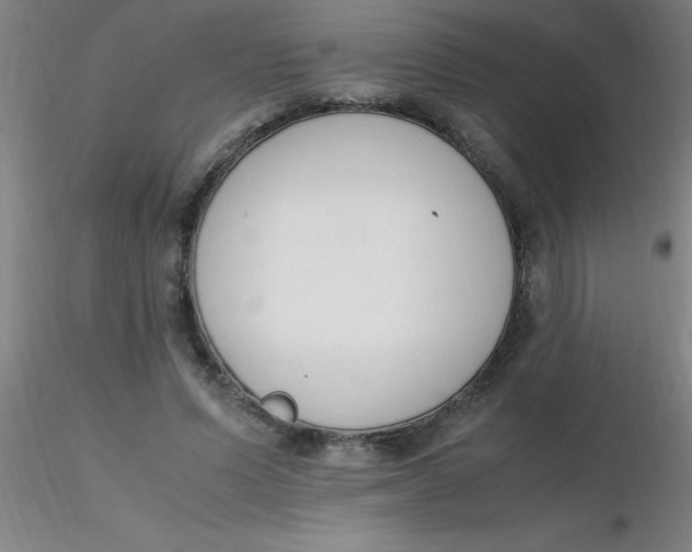 X0000116290591200912211842