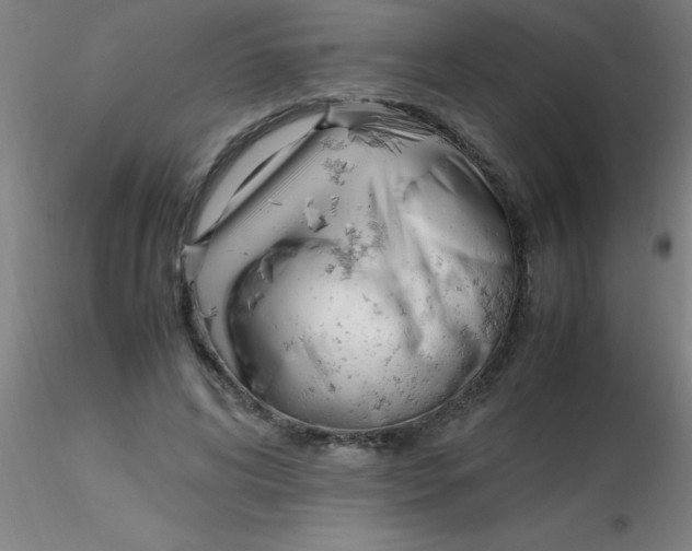 X0000116290592200912211842