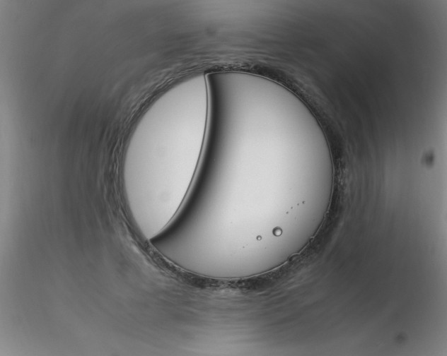 X0000116290593200912211842