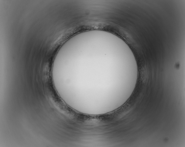 X0000116290594200912211842