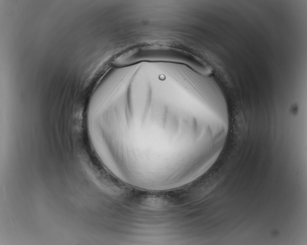 X0000116290596200912211842