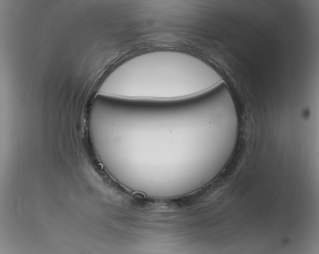 X0000116290597200912211842