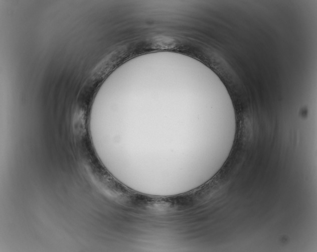 X0000116290598200912211842