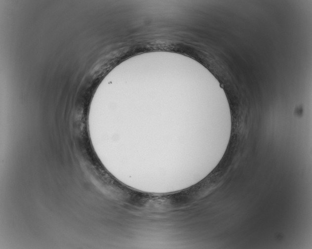 X0000116290599200912211842