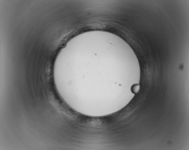 X0000116290600200912211842