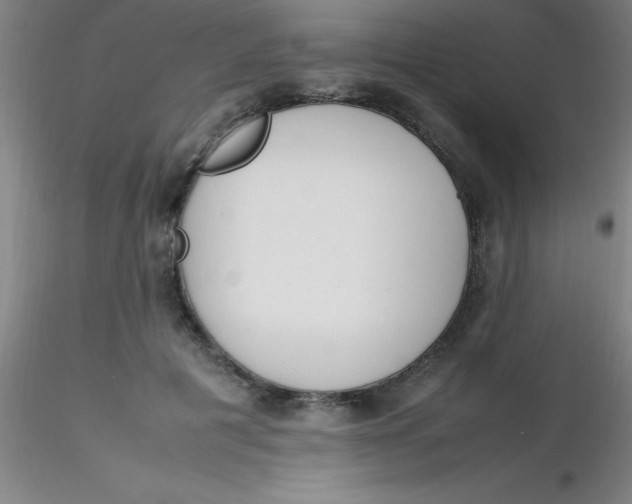 X0000116290601200912211842