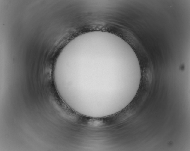 X0000116290602200912211842