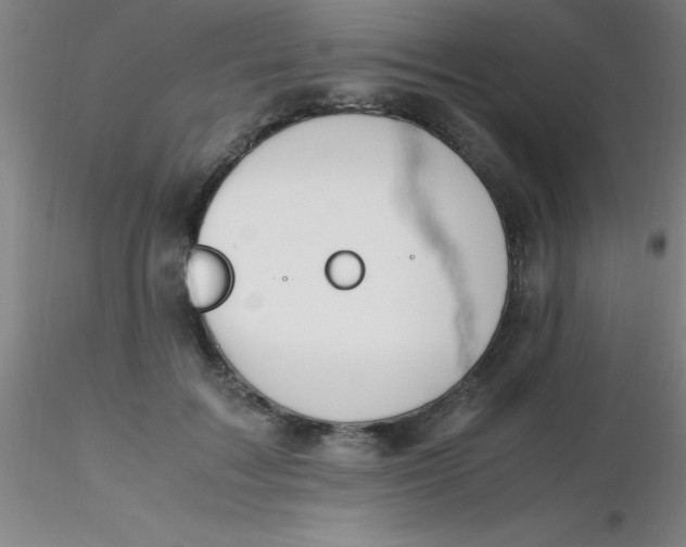 X0000116290603200912211842