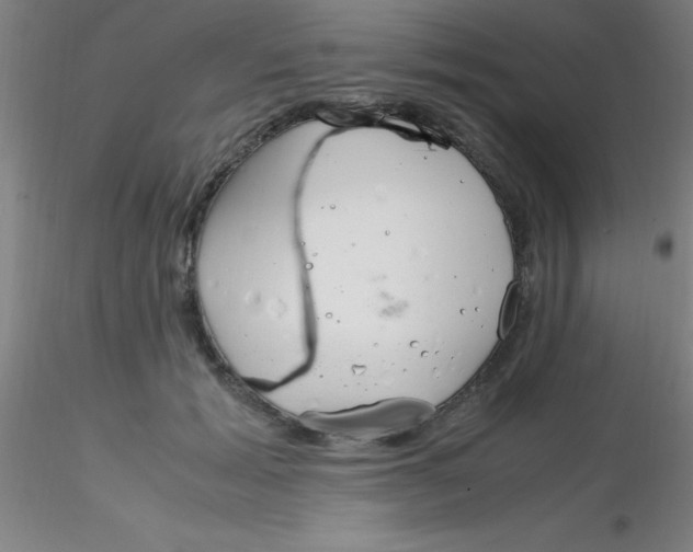 X0000116290605200912211842