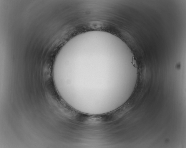 X0000116290606200912211842