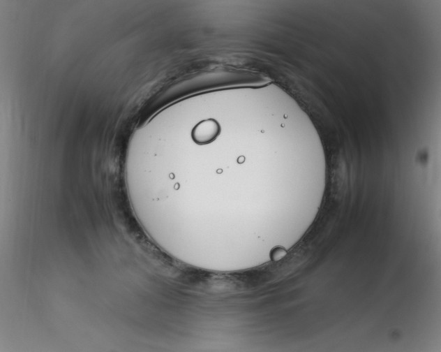 X0000116290608200912211842