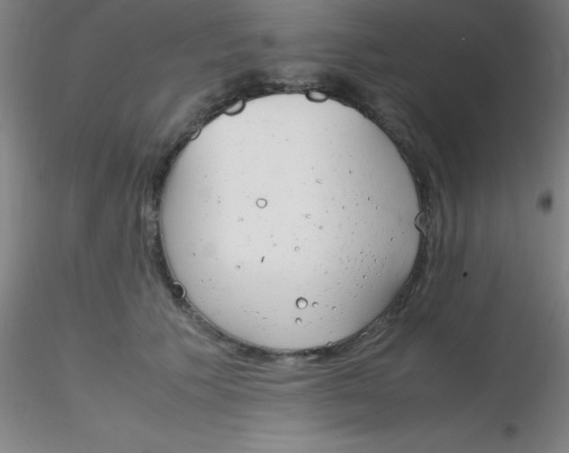 X0000116290609200912211842