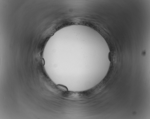 X0000116290611200912211842