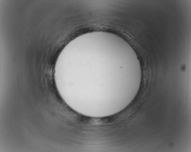 X0000116290613200912211842