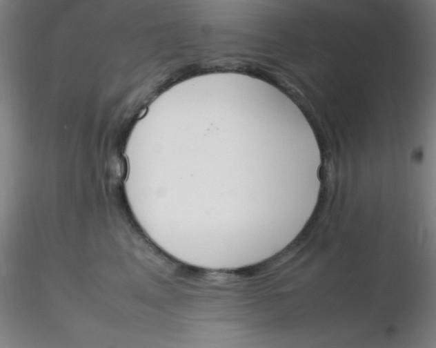 X0000116290617200912211842