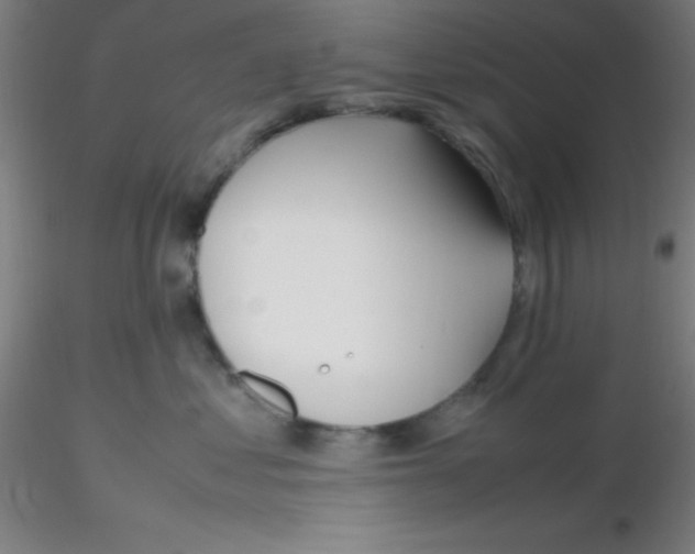 X0000116290621200912211842