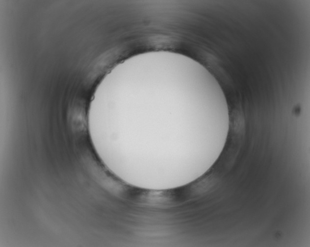 X0000116290622200912211842