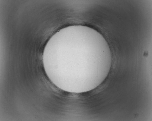 X0000116290624200912211842