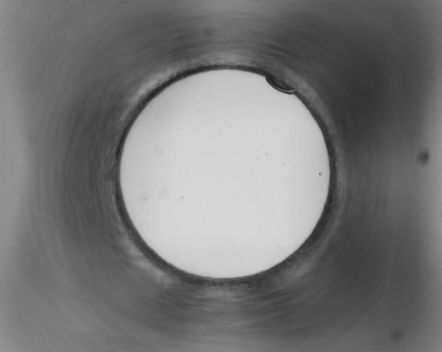 X0000116290625200912211841