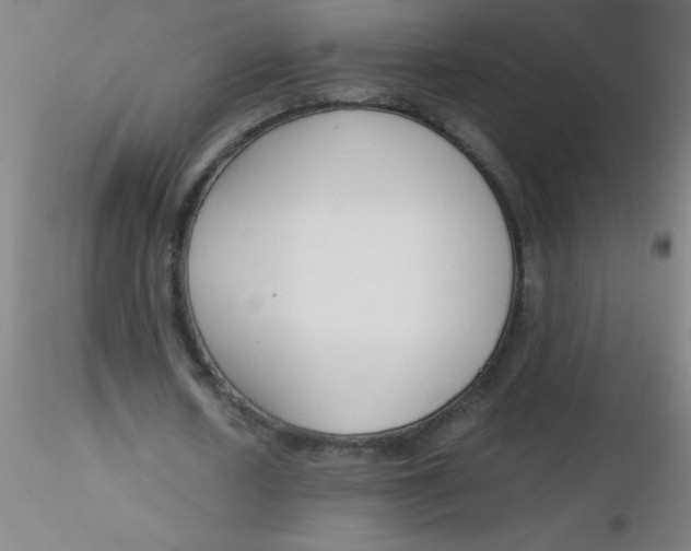 X0000116290626200912211841