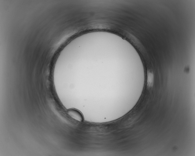 X0000116290627200912211841