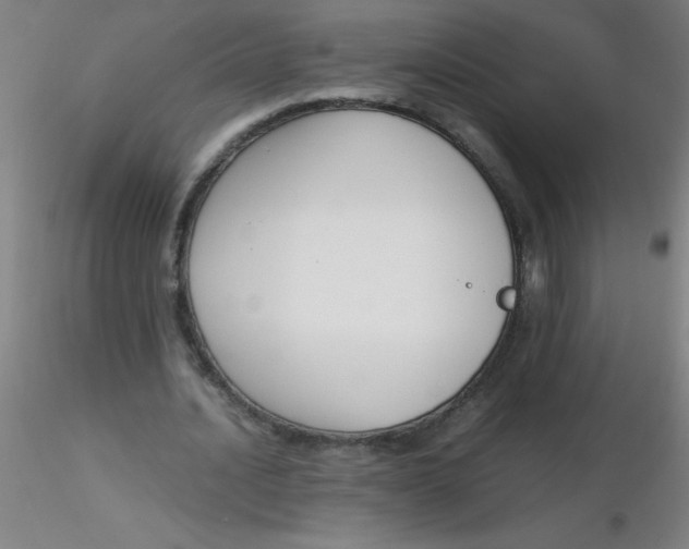 X0000116290628200912211841