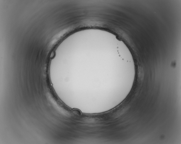 X0000116290629200912211841