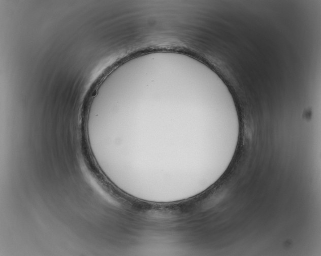 X0000116290630200912211841