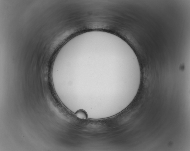 X0000116290631200912211841