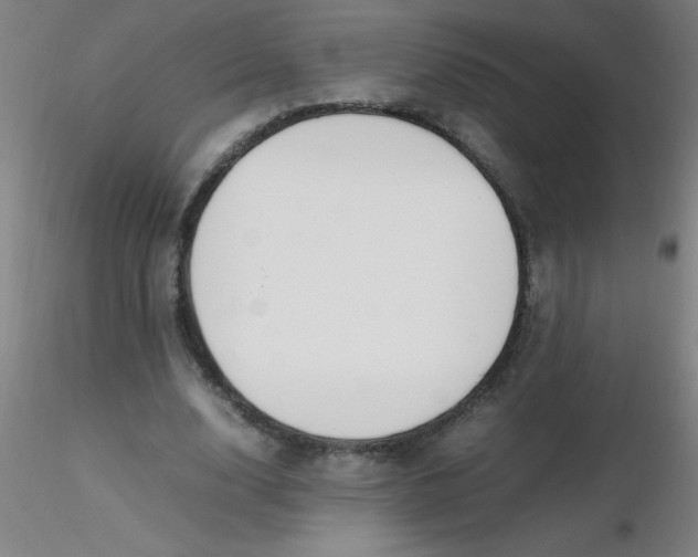 X0000116290632200912211841