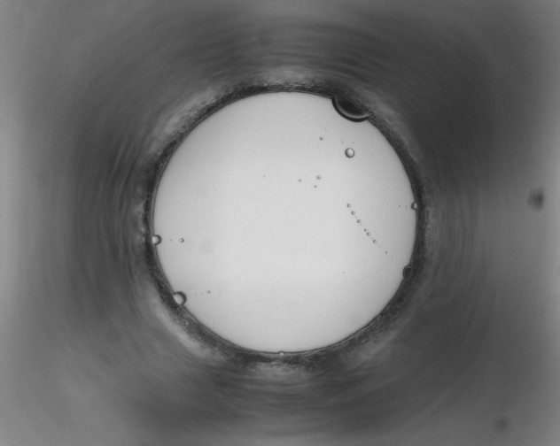 X0000116290633200912211841