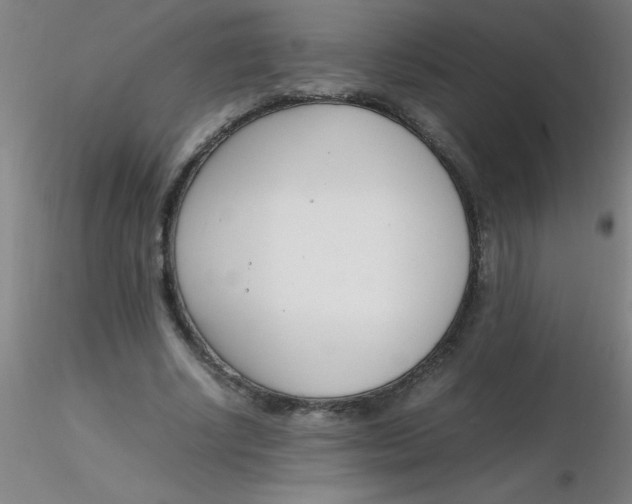 X0000116290634200912211841