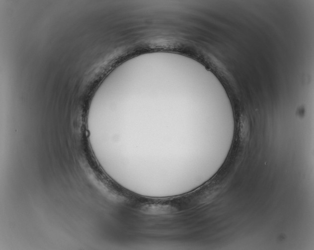 X0000116290637200912211841