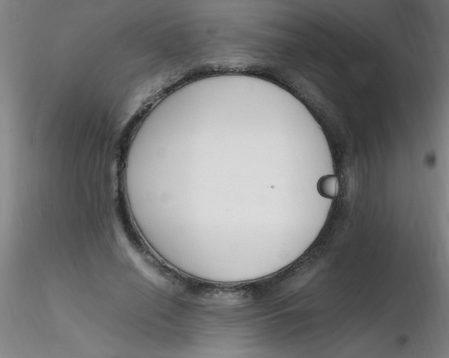 X0000116290638200912211841