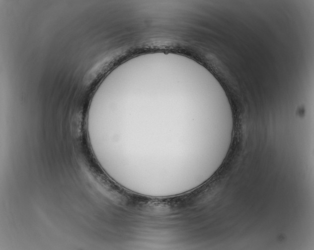 X0000116290640200912211841