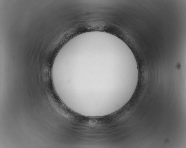 X0000116290641200912211841