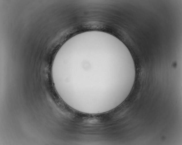 X0000116290643200912211841