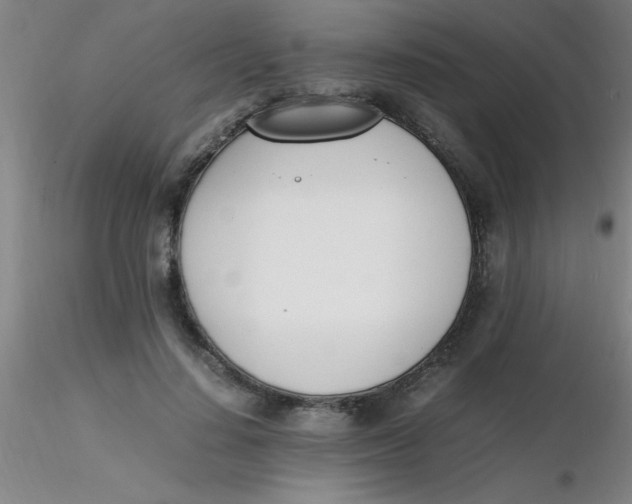 X0000116290644200912211841