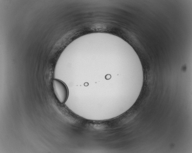 X0000116290645200912211841