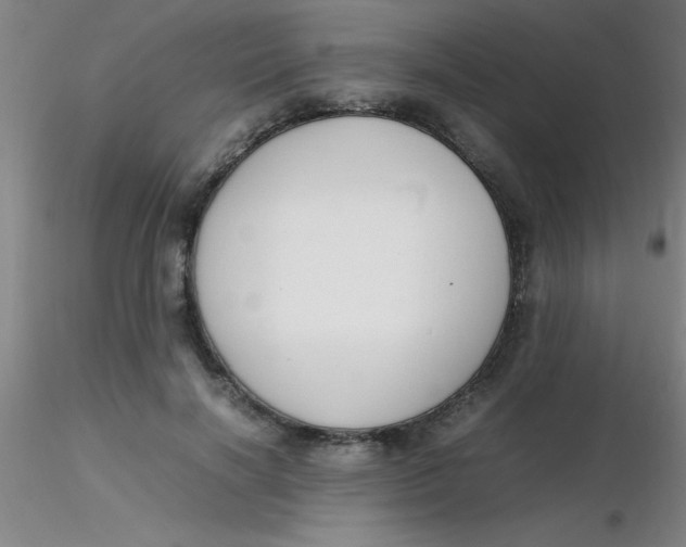 X0000116290646200912211841