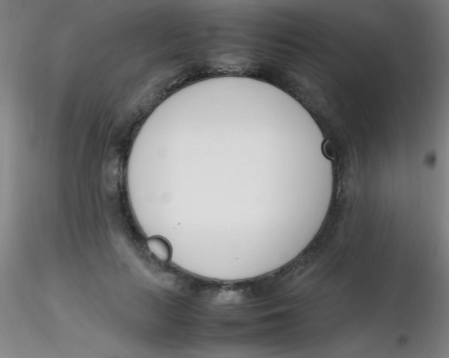 X0000116290647200912211841