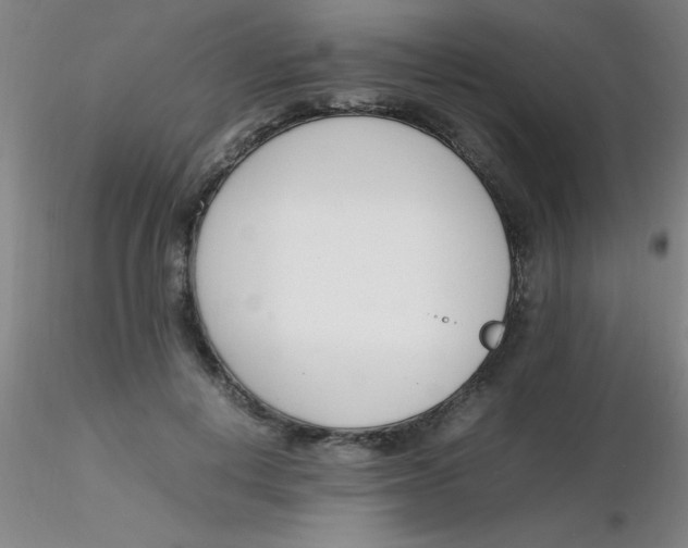 X0000116290648200912211841