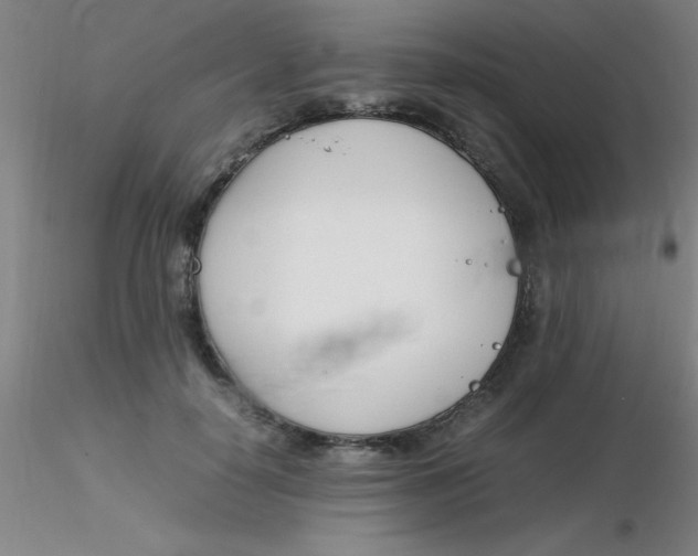 X0000116290650200912211841