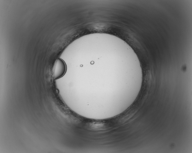 X0000116290651200912211841