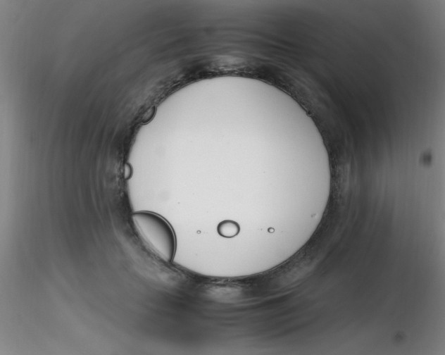 X0000116290653200912211841